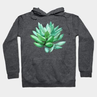 succulent echeveria Hoodie